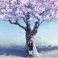 孙磊's avatar